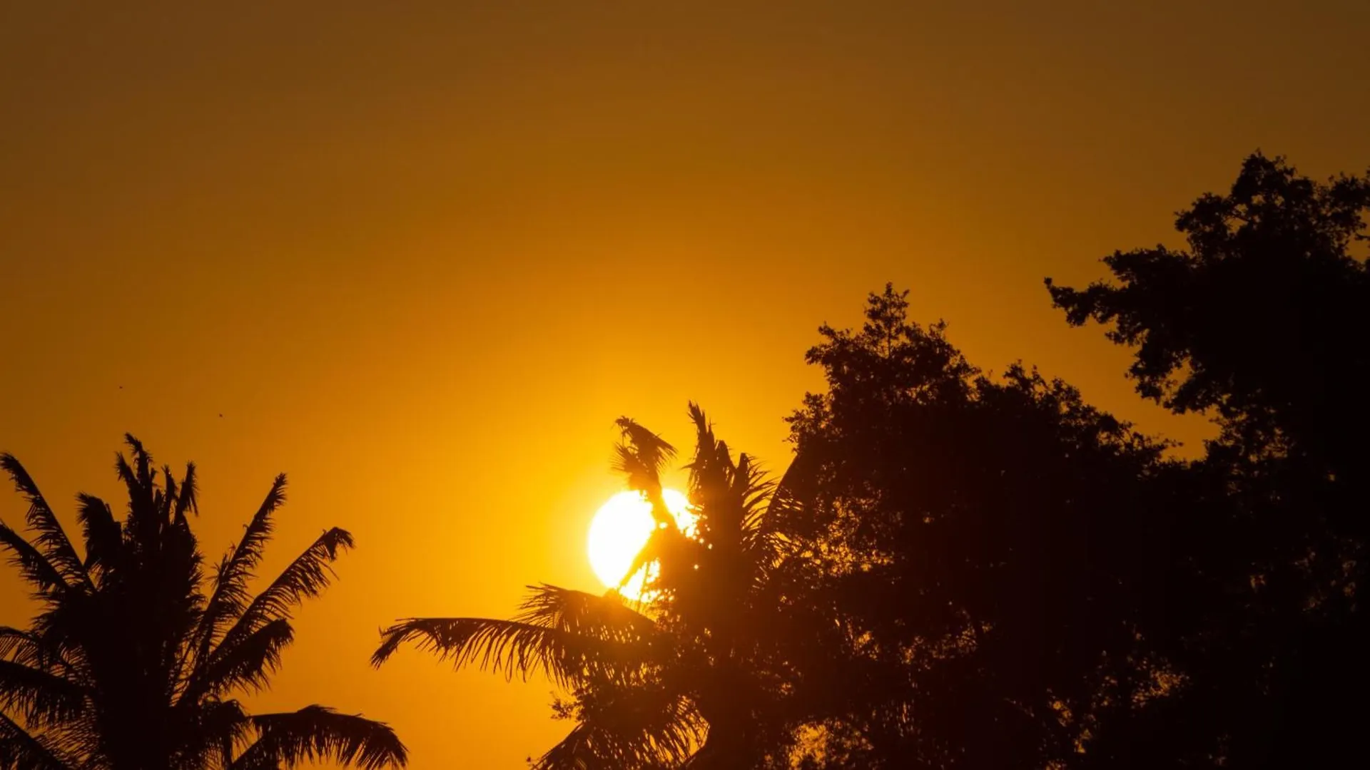 Paradise Awaits Idyllic 4Br Single-Level Kamilo Home With Private Pool Waikoloa
